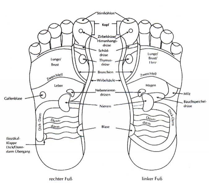 Fussreflexzonen nach John Beaulieau